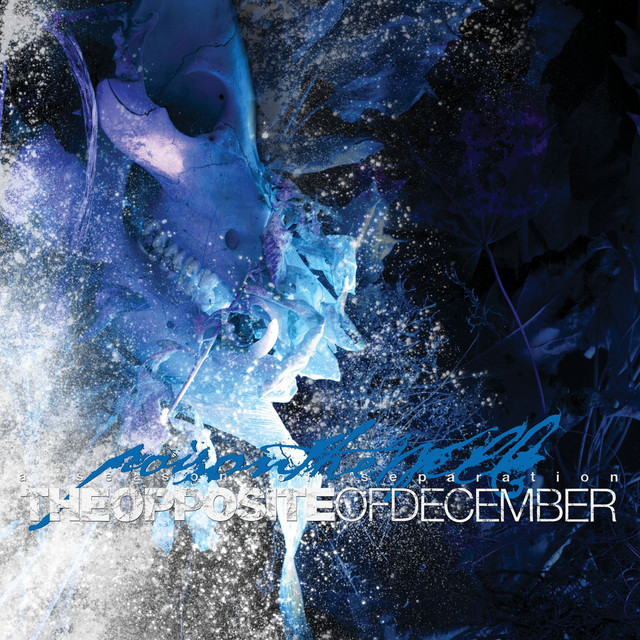 Posion the Well - The Opposite of December