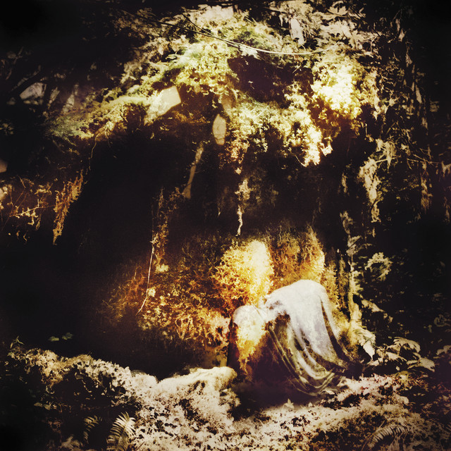 Wolves in the Throne Room - Celestial Lineage